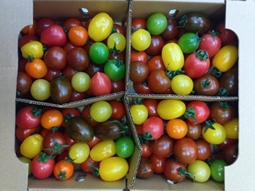 株式会社木貞商店-5