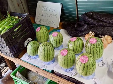 株式会社 O．V．リサーチ-1