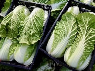 株式会社 O．V．リサーチ-4