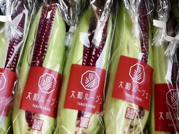 株式会社 O．V．リサーチ-2