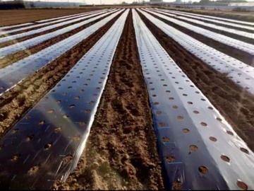 株式会社 O．V．リサーチ-3