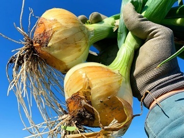 株式会社農健-3