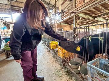 有限会社阿波キャトル-2