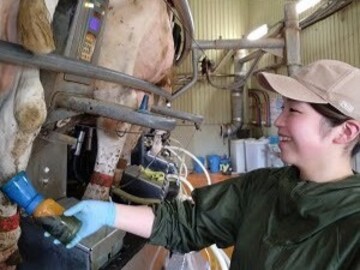 有限会社ドリームヒル-3