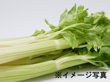 長野県原村×野菜/個人【36091】-2