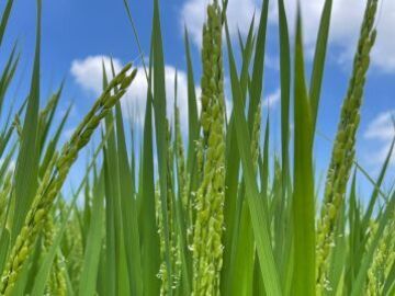 武州ガス株式会社-2