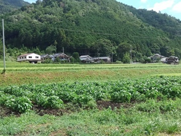 井貝農園-3