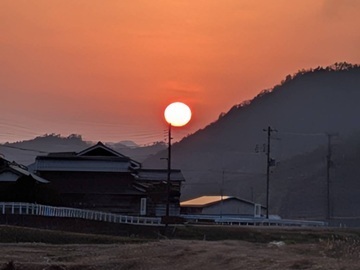 井貝農園-5