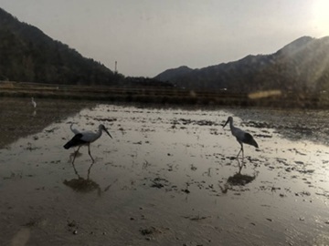 井貝農園-6