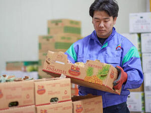 マンカ流通グループ(中途)【大阪府:青果流通】-top