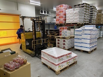 マンカ流通グループ(中途)【大阪府:青果流通】-2