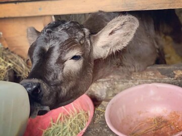 株式会社マツモト畜産-6