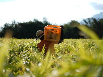 株式会社人作-6