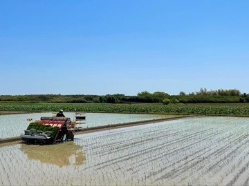 しんちゃん農園-1