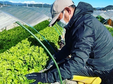 しんちゃん農園-3