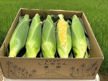 しんちゃん農園-5