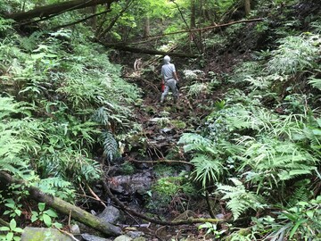 多野東部森林組合-2