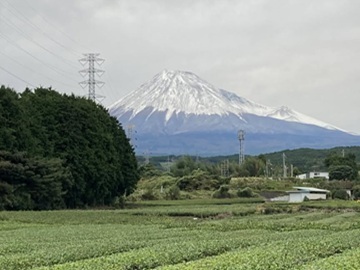 マルムラ製茶株式会社-6