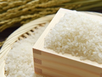 マルマス機械株式会社-2