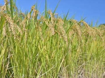 マルマス機械株式会社-4