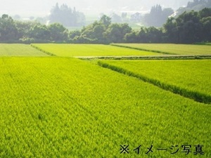 静岡県森町×稲作/個人【43197】-top