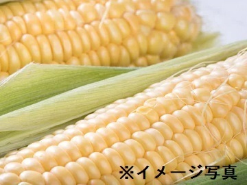 静岡県森町×稲作/個人【43197】-1