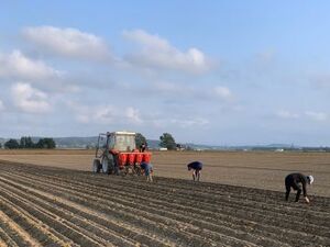 有限会社丸勝農場-top