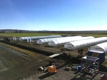 有限会社丸勝農場-1