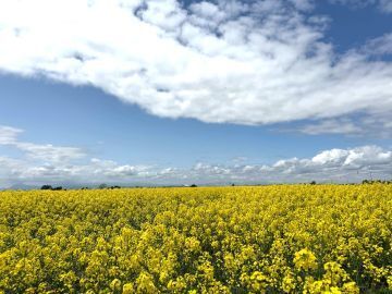有限会社丸勝農場-2