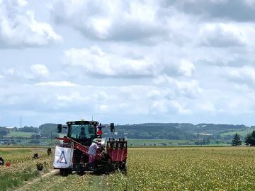 有限会社丸勝農場-4