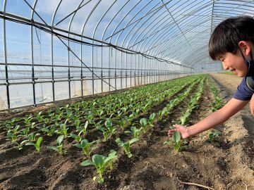 有限会社丸勝農場-8