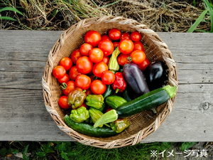 山梨県北杜市/露地野菜×個人【43201】-top