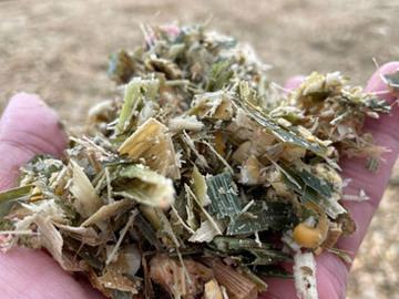 株式会社開陽D.A.I-1