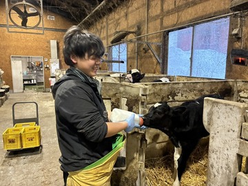 有限会社福屋牧場-top