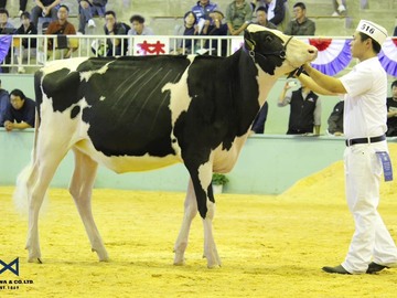 有限会社福屋牧場-7