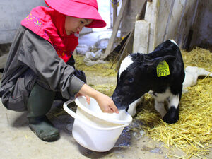 阿部牧場(別海町)-top