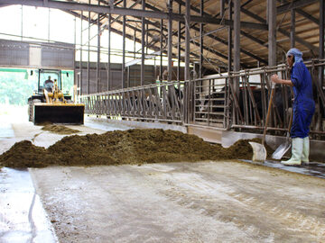 阿部牧場(別海町)-2