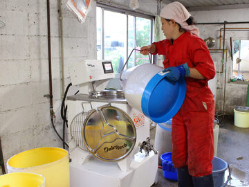 阿部牧場(別海町)-6