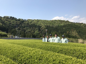 マルムラ製茶株式会社-1