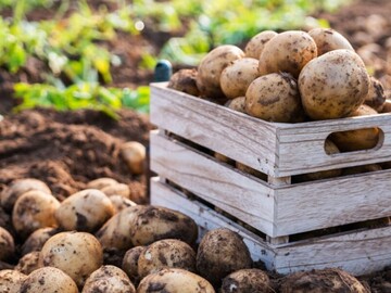 株式会社AGRI SMILE【東京都:フィールドサイエンティスト】-1