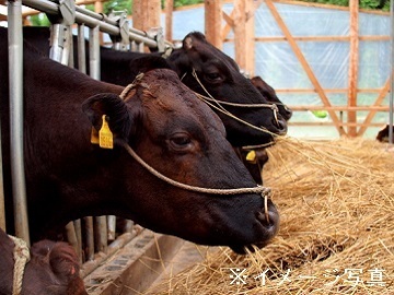 株式会社尾崎牧場-top