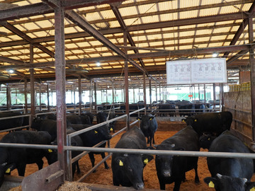 株式会社神戸井相田牧場-3