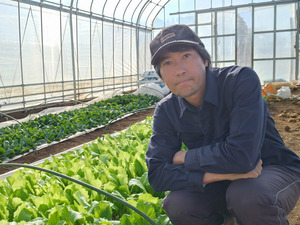 風間ファーム-top