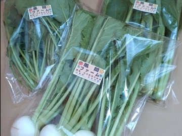 風間ファーム-4