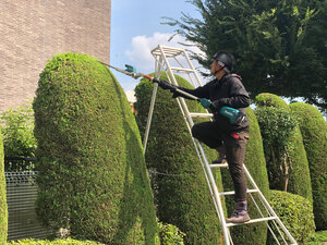 有限会社三田植木-top