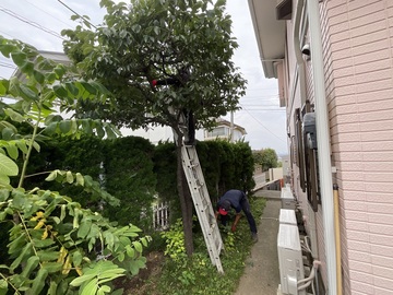 有限会社三田植木-3