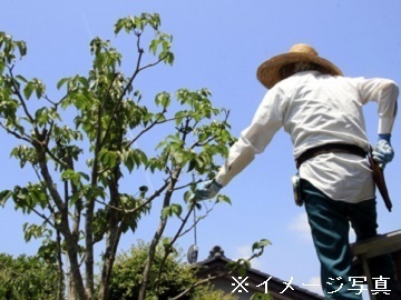 有限会社三田植木-6