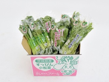 株式会社ふしちゃん-2