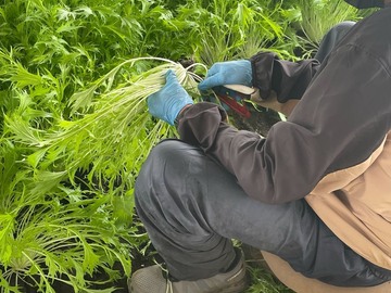 株式会社ふしちゃん-3