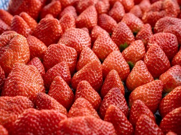 株式会社ふしちゃん-6